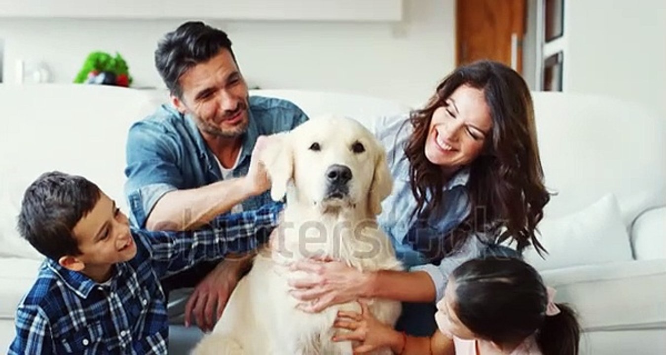 Portrait of happy family cuddling their dog having fun together in living room in slow motion. Shot with RED camera in 8K. Concept of happy family, parenthood, love for animals