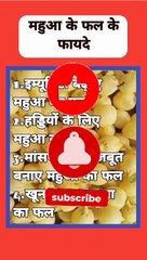 महुआ के फल मे है कई औषधीय गुण जानें इसकी खासियत और फायदे | Mahua benefits#महुआ#mahua#shortfeed#short