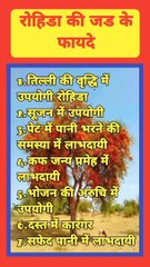 जानिए जिंबू जड़ी-बूटी के आयुर्वेदिक फायदे | जिंबू | Jimbu Herb Benefits#shorts#jadibuti#jadibutiyan