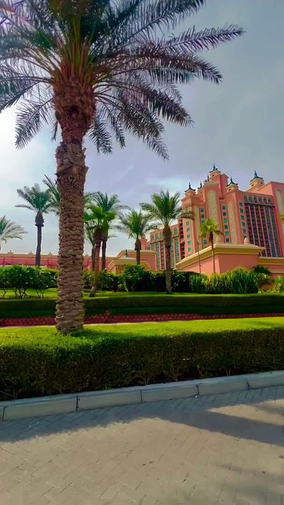 Atlantic the palm