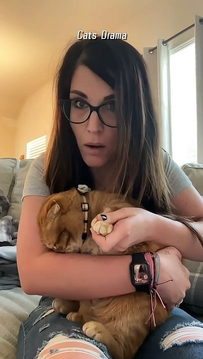 Hold Back the Laughs Challenge: Funny Cat Moments#funnycats #funnyanimals #petvideos #munchkin #challenge #fyp