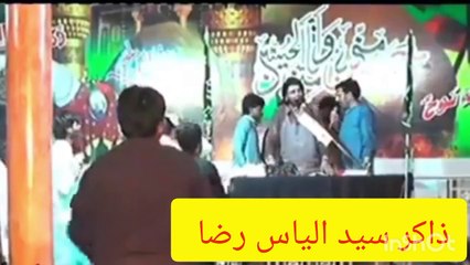 ذاکر سید الیاس رضا