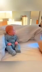 Animals Are Human's Friend❤️