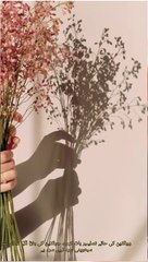 Islamic Quotes By Deen se Duniya