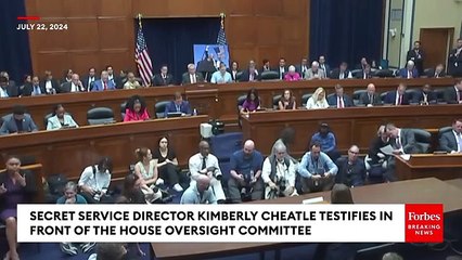 Secret service director Kimberly