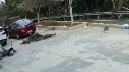 This Hero Catches a Runaway Walker With a Baby Inside!