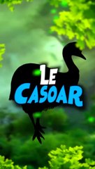Le Casoar à Casque