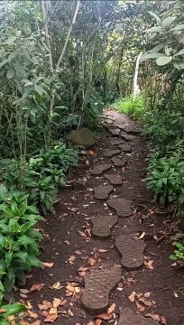 The Mental Health Benefits of Regular Exercise