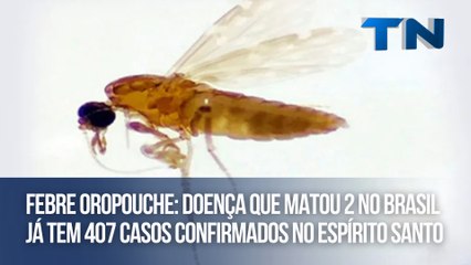 Download Video: Febre oropouche: doença que matou 2 no Brasil já tem 407 casos confirmados no Espírito Santo