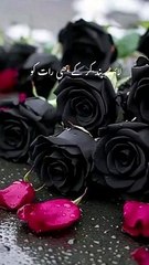 تجھے اپنے رب کی طرف سے کس چیز نے بھگایا ؟#youtubeshorts #onthisday