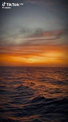 Mein phir bhe tumko chahun ga