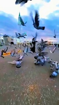 خضر علیہ سلام نے کہا کیا میں نہیں کہنا تھا کہ تم میرے ساتھ صبر نہیں کر سکتے۔