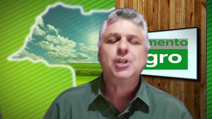 Alta nos preços do milho nas últimas semanas ajudaram produtor a avançar com a comercialização