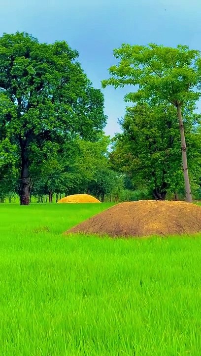 Beautiful location