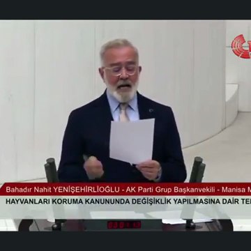 AKP Grup Başkanvekili Yenişehirlioğlu 'sahipsiz köpekler' derken muhalefet sıralarını gösterdi