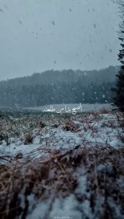 صبح بخیر