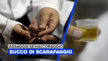 Assaggia se hai coraggio: Succo di scarafaggio