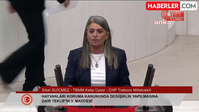 CHP Milletvekili Sibel Suiçmez, sokak hayvanlarına ilişkin yasa tasarısını eleştirdi