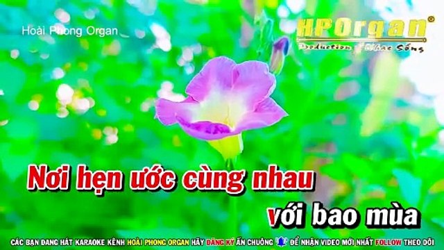 Karaoke Bông Mua Tím (Beat Hay) Tone Nữ Nhạc Sống (Bbm) Hoài Phong Organ