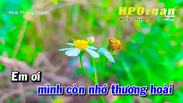 Karaoke Con Đường Xưa Em Đi (Beat Hay) Nhạc Sống Tone Nam Mới - Hoài Phong Organ