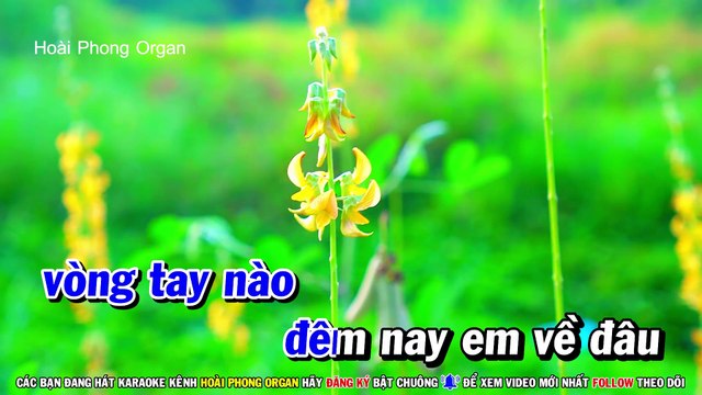 Karaoke Chàng Trai Si Tình (Beat Hay) Cm Nhạc Sống Tone Nam - Hoài Phong Organ