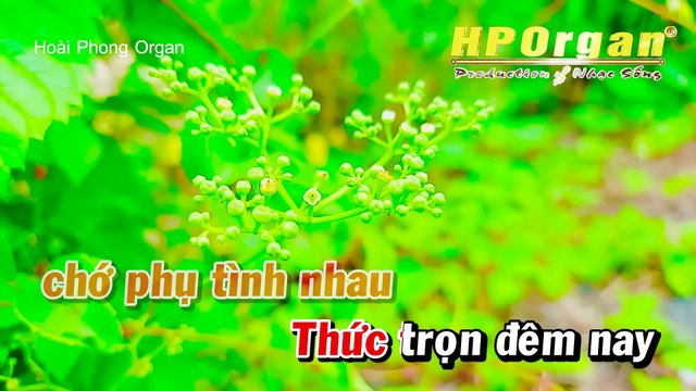 Karaoke Nhớ Người Yêu Tone Nữ (Beat Hay) Nhạc Sống - Hoài Phong Organ