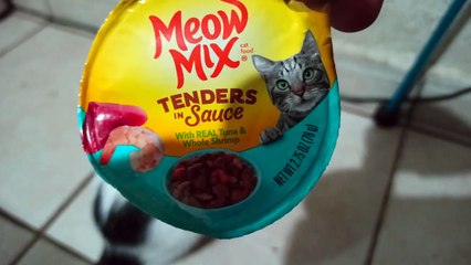 Meow Mix Tenders in Sauce Alimento Comida Para Felinos  El Gato Pernanca  Comiendo Fino Y Bien
