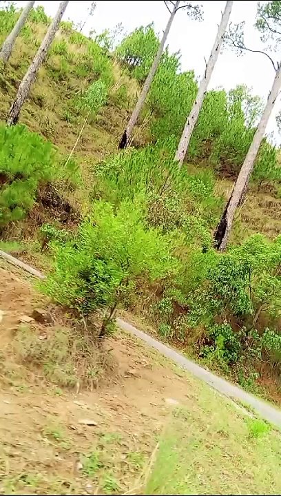 natural beauty, natural beauty of pakistan, natural beauty tips, natural beauty underwater, natural beauty video, natural beauty channel, natural beauty song, natural beauty of world, natural beauty cream,