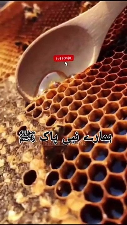 Islamic whatsapp status  | Urdu Islamic Status | Islamic vedioes