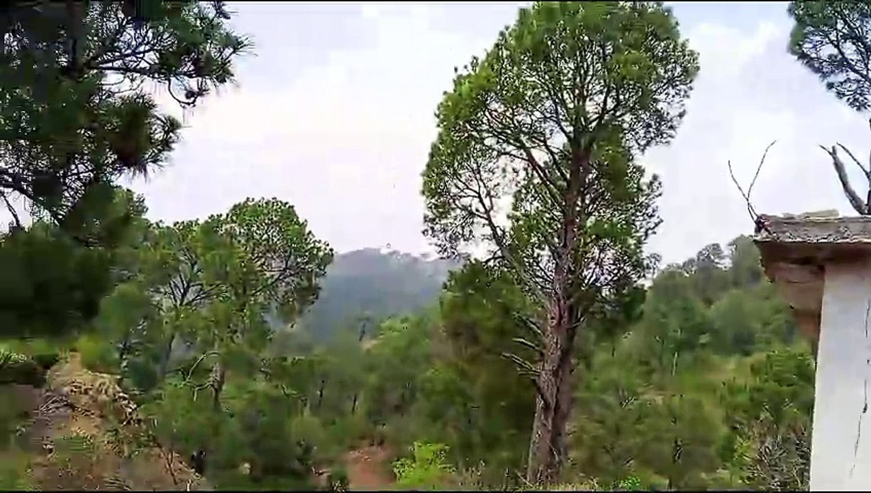 A Paradise in Kashmir || HIDDEN BEAUTY OF TAOBAT BALA || KASHMIR IN 2024 || A Haven for Natur Lovers