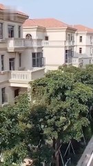 Phim Phó Thiếu Cưng Chiều Vợ Tận Trời - Tập 03 | Phim Ngôn Tình