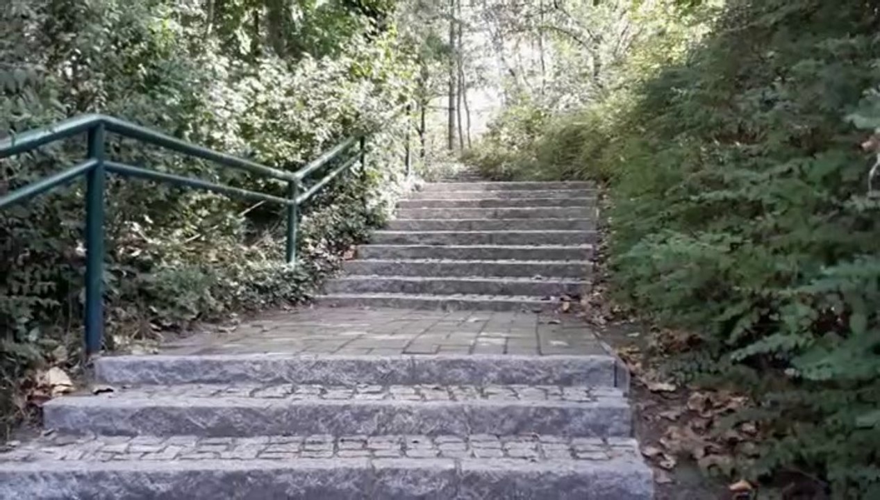 Berliner Aussichtspunkte: 'Der Hügel im Bürgerpark'