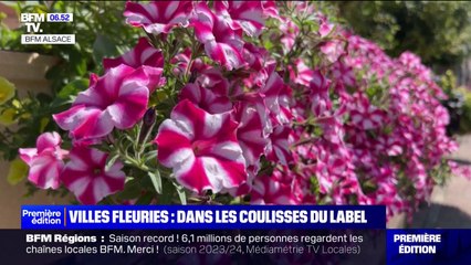 Video herunterladen: Villes et villages fleuris: dans les coulisses du label