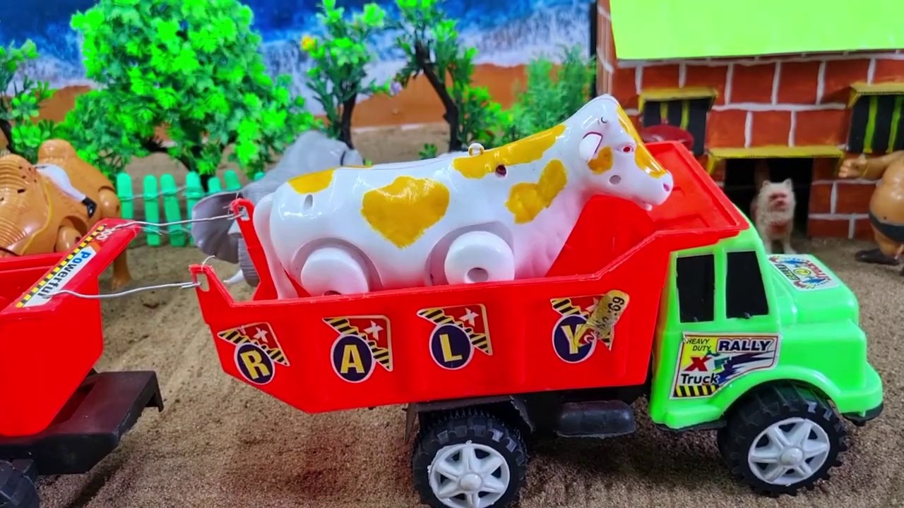 WADIDAU PROSES POTONG SAPI !!! TURUK OLENG UNTA