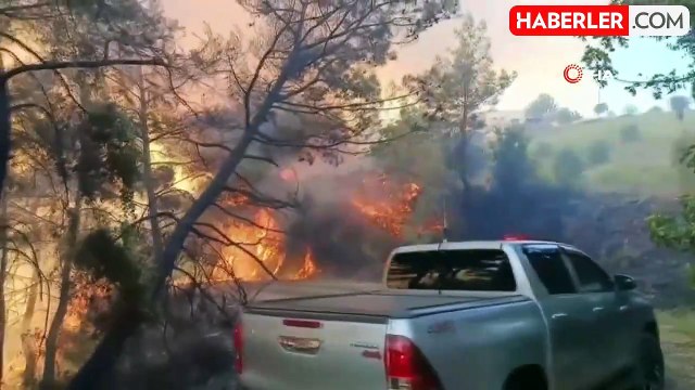 Adana'daki orman yangınında 10 ev tedbir amaçlı tahliye edildi