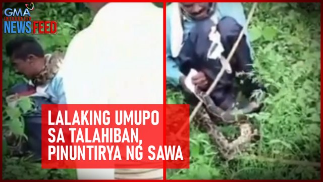 Lalaking umupo sa talahiban, pinuntirya ng sawa | GMA Integrated Newsfeed