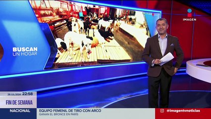 Tormentas en Huixquilucan, Edoméx, dejan sin hogar a 42 perros de un refugio