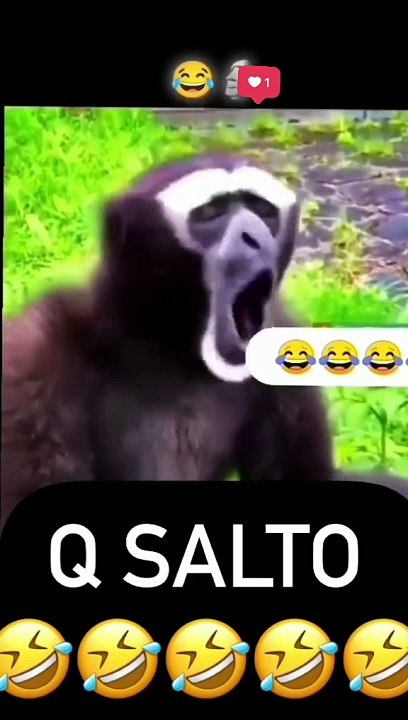 Full funny video # Instagram # shorts