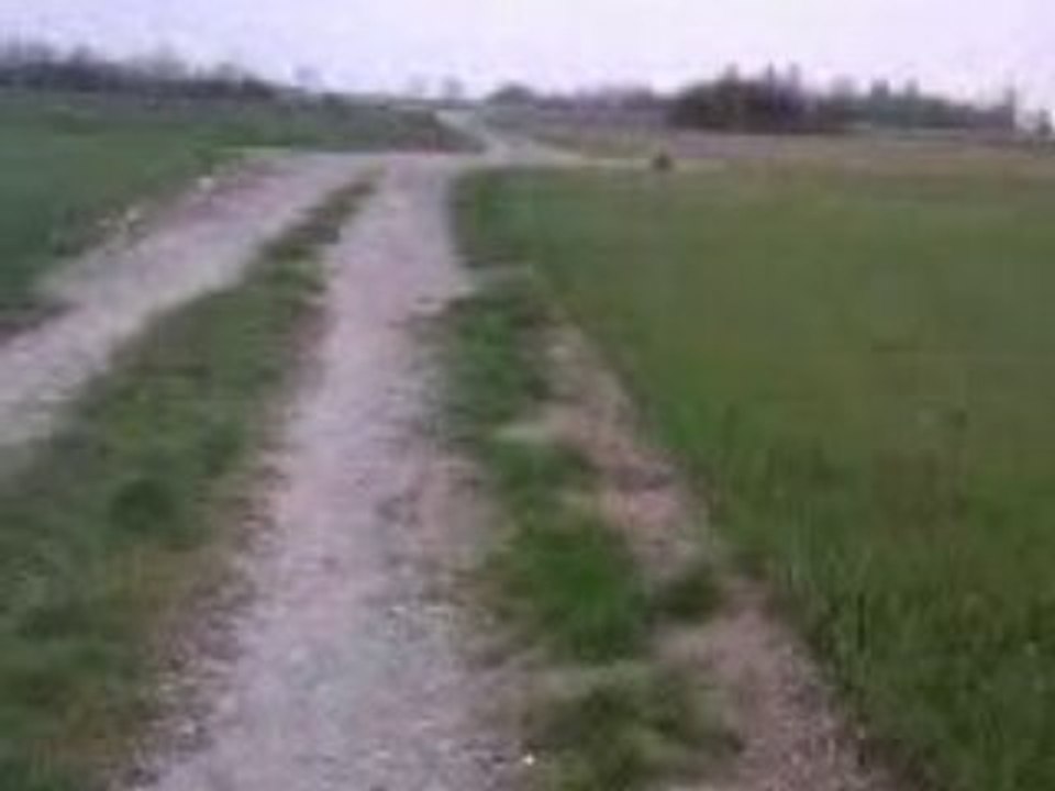 lol petite balade dans les champs surprenante ! XD