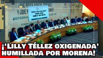 ¡VE! ¡’la Lilly Téllez oxigenada’ es humillada por ex emecista por atacar las reformas de AMLO!