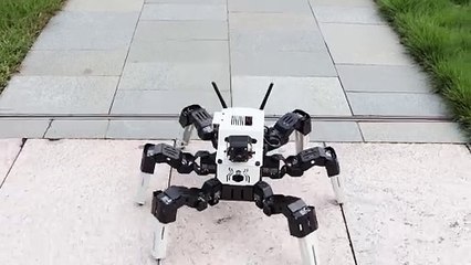 Yahboom Hexapod Robot Kit for Raspberry Pi 5 and Jetson