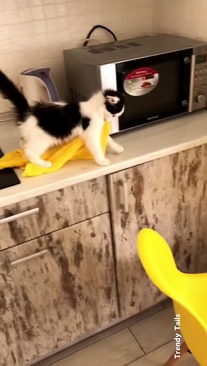 It's My Towel, I need This