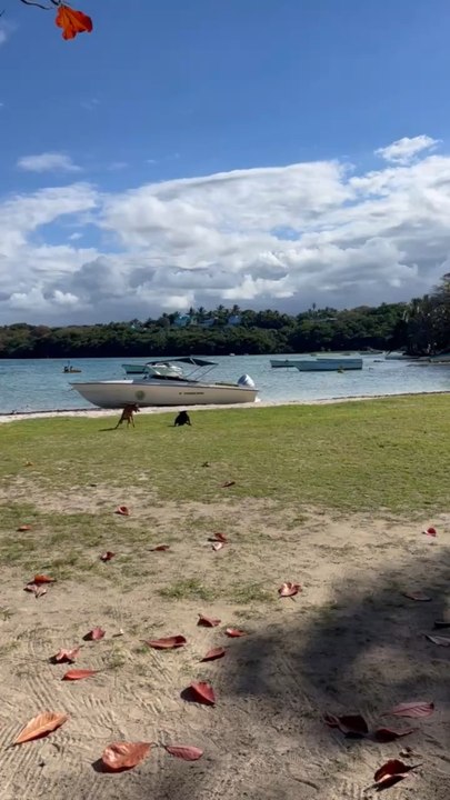LES BELLES PLAGES de Cap Malheureux à L’île Maurice