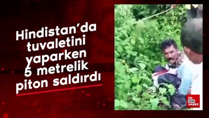Hindistan'da tuvaletini yaparken 5 metrelik piton saldırdı
