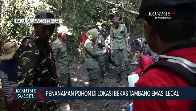 Penanaman Pohon Di Lokasi Bekas Tambang Emas Ilegal
