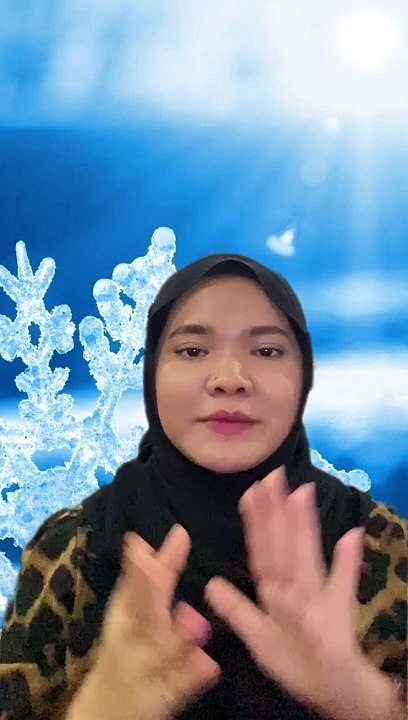 Fakta Menarik Salji