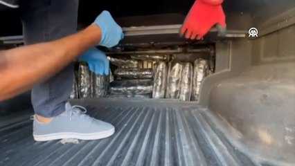 Pikaba gizlenmiş 52 kilo 300 gram skunk ele geçirildi
