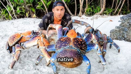 Meet the Giant Coconut Crab: Nature's Largest Land Arthropod !