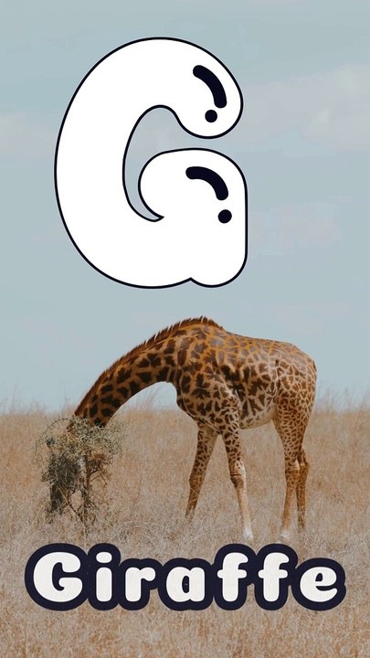 G is for Giraffe song, ABC Song, ABC Phonic