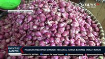 Pasokan Melimpah di Musim Kemarau, Harga Bawang Merah Turun